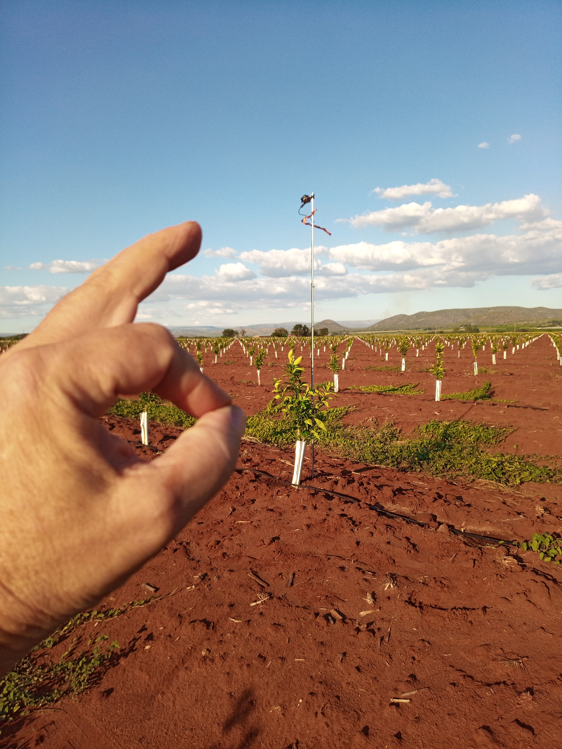 AgriConsult Services